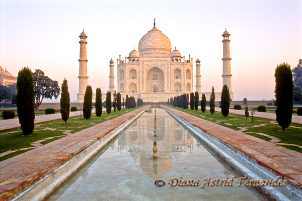 India Taj-Mahal-at-dawn